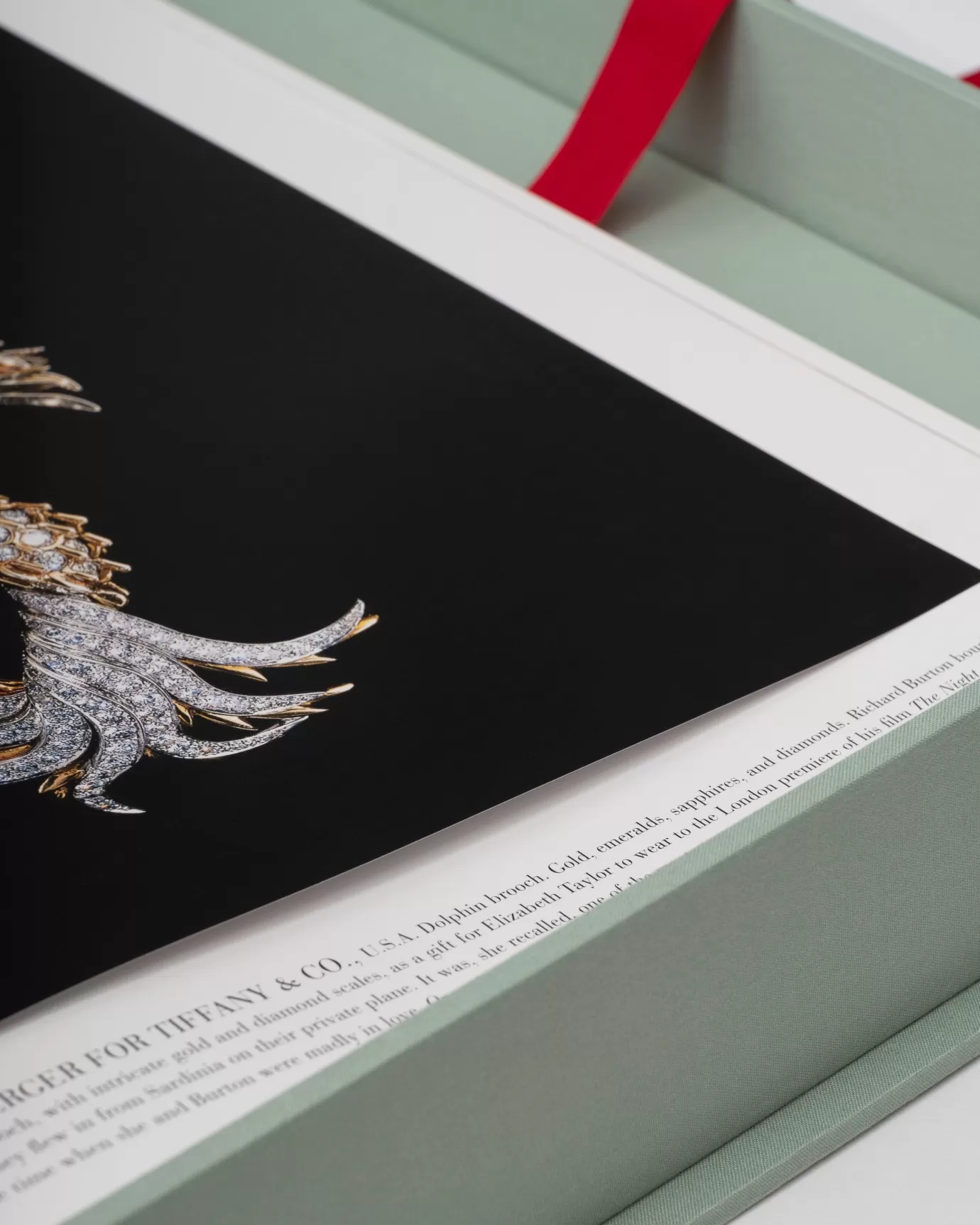 ASSOULINE - Joyería Exclusiva y Relojes de Edición Limitada | Descubre la Magia de la Colección Inalcanzable