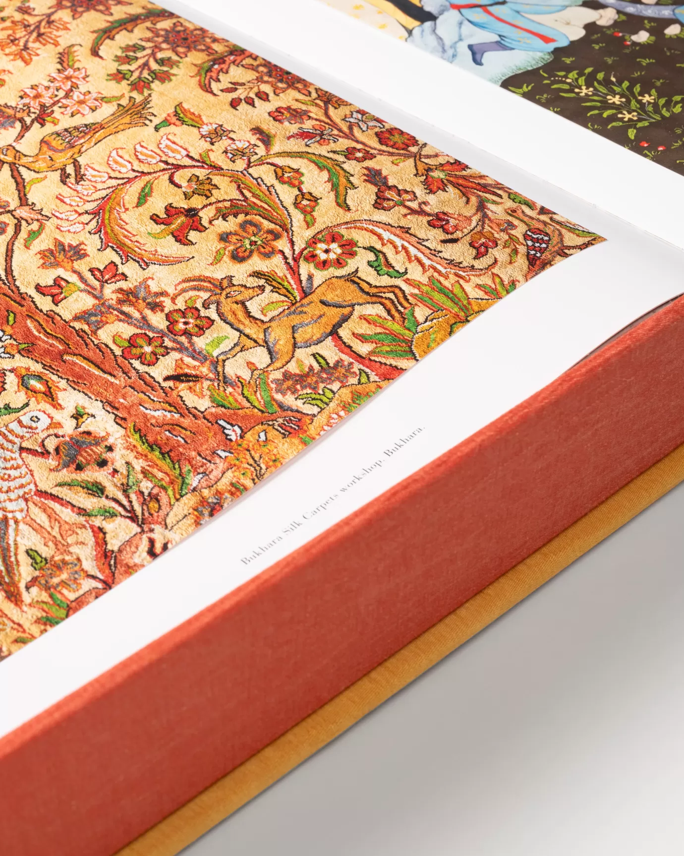 ASSOULINE Arquitectura & Diseño presenta: 